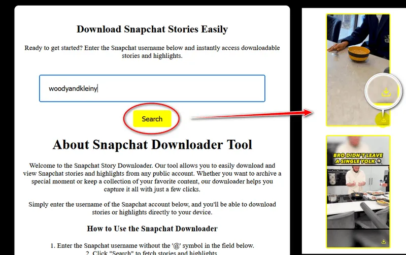 Snapchat Video Downloader