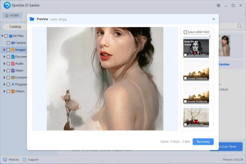 preview hard drive files