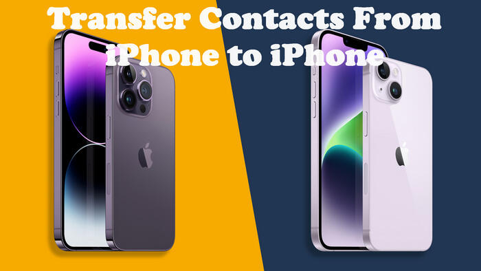 Transfer Contacts