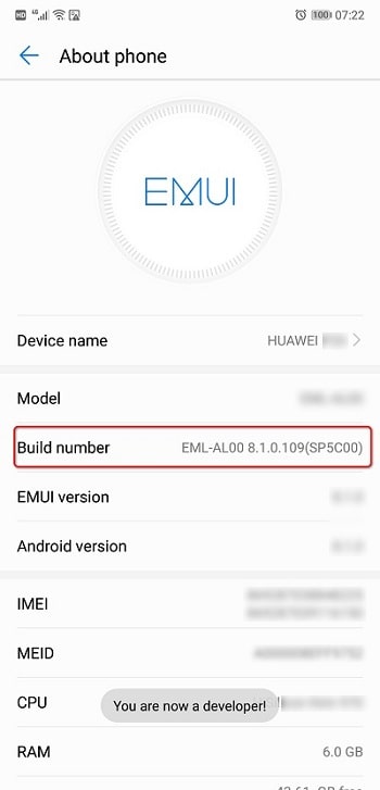 Build Number of Huawei P30/P30 Pro