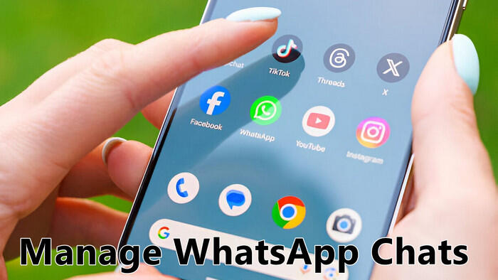 Manage WhatsApp Chats to Free Up Space