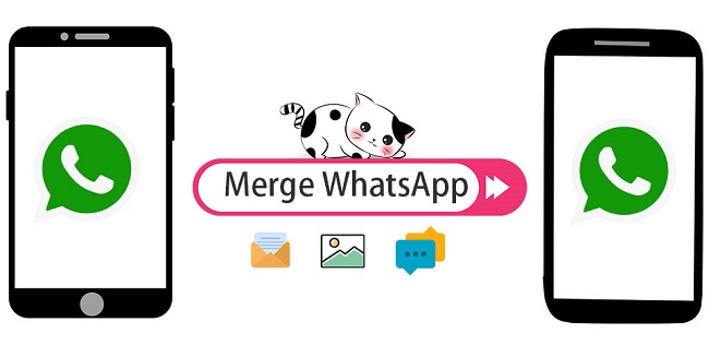 Merge Two WhatsApp Accounts Chats without Overwriting or Verification