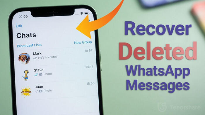 Recover Deleted Whatsapp on iPhone