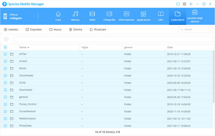 File management